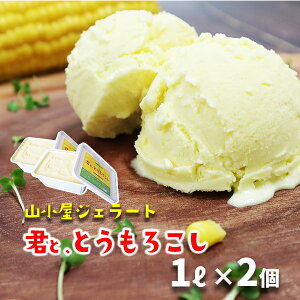 yӂ邳Ɣ[ŁzRWF[guNƁAƂ낱v1LoN×2@Ђ XC[c v[g Mtg lC  茧 ֎s Z~N fU[g 100 ґACX 