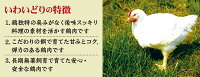 【ふるさと納税】訳あり唐揚げ奥州いわいどり室根鶏モモ1.6kg(800g×2袋)からあげグランプリ最高金賞規格外お弁当