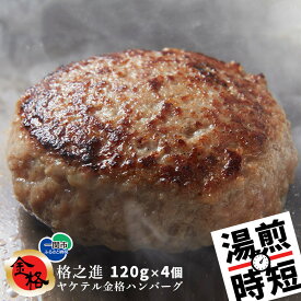 【ふるさと納税】 格之進 ヤケテル 金格ハンバーグ 120g×4個 【 冷凍 調理済み 時短 湯せん 無添加 金格 高級 国産 肉 牛肉 豚肉 白金豚 お弁当 個包装 惣菜 小分け 子供 簡単調理 贈り物 ギフト お取り寄せ 人気 湯煎 お湯ぽちゃ レトルト 温めるだけ 一関 岩手県 】