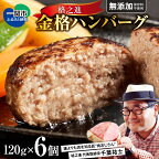 格之進 金格 ハンバーグ ( 120g × 6個 ) [ 無添加 ] 冷凍 小分け 個包装 高評価 ☆4.8以上 人気 プレミアム ハンバーグ 【 高級 国産 牛肉 豚肉 白金豚 おかず 惣菜 おすすめ 肉 ビーフ ポーク ひき肉 挽肉 贈り物 ギフト 一関 岩手 】