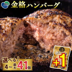 【ふるさと納税】レビューキャンペーン開催中！ ★4.7 格之進 金格 ハンバーグ 選べる 120g×4個〜41個 ハンバーグ 牛肉 豚肉 国産 冷凍 湯煎 個包装 小分け 便利 簡単 惣菜 夕食 おかず 贈答 ギフト 人気 おすすめ 高評価 岩手県 一関市