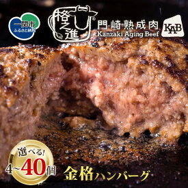 【ふるさと納税】★4.7 格之進 金格 ハンバーグ 選べる 120g×4個〜40個 ハンバーグ 牛肉 豚肉 国産 冷凍 湯煎 個包装 小分け 便利 簡単 惣菜 夕食 おかず 贈答 ギフト 人気 おすすめ 高評価 岩手県 一関市