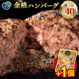 【ふるさと納税】＼も～っと金格ハンバーグを味わって／ 格之進 金格 ハンバーグ 選べる 120g×4個～40個＋1個 ハンバーグ 牛肉 豚肉 国産 冷凍 湯煎 個包装 小分け 便利 簡単 惣菜 夕食 おかず お惣菜 贈答 ギフト TV紹介 人気 おすすめ 高評価 送料無料 岩手県 一関市