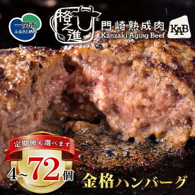 【ふるさと納税】 ★4.7 格之進 金格 ハンバーグ 選べる 単品 定期便 120g×4個〜72個 牛肉 豚肉 国産 冷凍 湯煎 個包装 小分け 便利 簡単 惣菜 夕食 おかず 贈答 ギフト 人気 おすすめ 高評価 岩手県 一関市 無添加 レストラン品質 冷凍保存 弁当 ごちそう 手軽調理