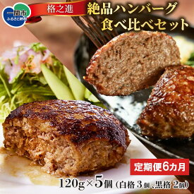 【ふるさと納税】【 定期便 6ヶ月 】 格之進 絶品 ハンバーグ 食べ比べ セット （ 白格3個 黒格2個 合計5個 ）【 プレミアム 無添加 高級 国産 牛肉 豚肉 白金豚 肉 肉汁 冷凍 お弁当 惣菜 おかず 個包装 小分け 簡単 贈り物 ギフト お取り寄せ 人気 おすすめ 岩手 一関 】