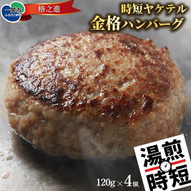 【ふるさと納税】 お湯で温めるだけ 格之進 ヤケテル金格ハンバーグ ( 選べる 120g × 4個 8個 12個) 無添加 湯煎 ボイル 時短 調理済み 肉汁 塩麹 牛肉 豚肉 白金豚 国産 高評価 贈答用 ギフト 子供 人気 おすすめ 岩手県 一関市