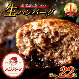 【ふるさと納税】 生 ハンバーグ 10個 22個 格之進 肉おじさん ふるさと納税 ハンバーグ あはハンバーグ ふるさと納税 牛肉 豚肉 小分け 人気 惣菜 簡単調理 おかず お弁当 ランキング 冷凍 定期便 岩手県 一関市