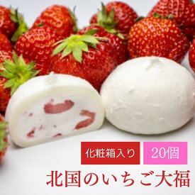 【ふるさと納税】北国の いちご大福 20個 (10個入×2箱) 冷凍 個包装 【 大福 いちご大福 生クリーム大福 苺大福 餅 クリーム 高級 大福 スイーツ ひんやり お取り寄せ 和スイーツ 和菓子 お菓子 プレゼント ギフト バレンタインデー ホワイトデー 田代製菓 】