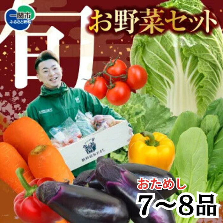 楽天市場】【ふるさと納税】旬 新鮮 野菜セット 7～8品 野菜  
