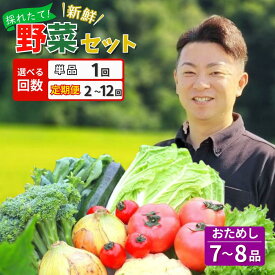 【ふるさと納税】旬 新鮮 野菜セット 7〜8品 野菜 詰め合わせ お試し セット 【選べる回数】1～12回 定期便 ふるさと納税 贈り物 ギフト じゃがいも 人参 大根 きのこ サラダ 鍋 果物 農家 直送 産地直送 産直 農産物 お取り寄せ 送料無料 新鮮館おおまち 岩手県 一関市