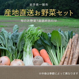 【ふるさと納税】季節の野菜 7品目 詰め合わせ 旬 野菜 セット 夏野菜