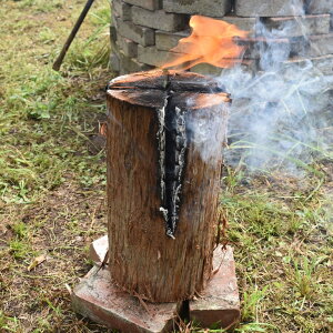 yӂ邳Ɣ[ŁzsʌtXEF[fg[` 2{ (40cm×20cm) Zbg y Lv AEghA Lvpi d ܂     ؍ t Lvt@C[ BBQ \
