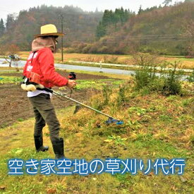 【ふるさと納税】空家や空き地の草刈 100坪程度 草刈 草刈り 空き地 空き家 お助け