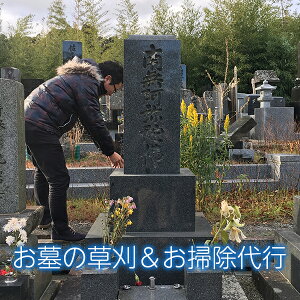 yӂ邳Ɣ[Łz1Ԃ̑| A  ފ {  ~