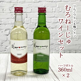 【ふるさと納税】むろねーじゅワイン ハーフボトル2本セット(りんごワイン・梅ワイン)