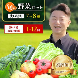 【ふるさと納税】旬 新鮮 野菜セット 7〜8品 野菜 詰め合わせ お試し セット 【選べる回数】1 〜 12回 定期便 ふるさと納税 贈り物 じゃがいも 人参 大根 きのこ サラダ 鍋 果物 農家 直送 産地直送 産直 農産物 お取り寄せ 送料無料 野菜定期 新鮮館おおまち 岩手県 一関市