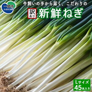 yӂ邳Ɣ[Łzy󂠂z̎肩͂A̐VN˂ LTCY 45{ ӂ邳Ɣ[ ˂ Y Y