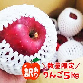 【ふるさと納税】 先行予約 訳あり りんご 5kg 旬 リンゴ サンふじ ふじ シナノゴールド 王林 ≪10月下旬より順次発送≫【数量限定】