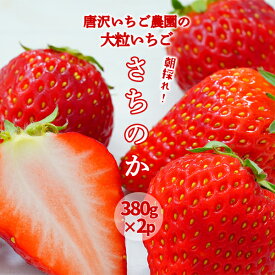 【ふるさと納税】 大粒 いちご 760g (380g×2パック) さちのか 朝採り 産地直送 果物 フルーツ 苺 イチゴ 岩手県 一関 先行予約 2月上旬～順次発送予定