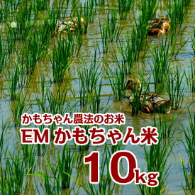【ふるさと納税】令和5年産 EMかもちゃん米 10kg 選べる 玄米 精米