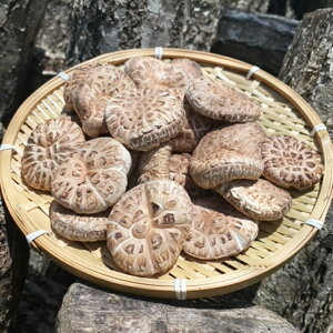 yӂ邳Ɣ[Łz؍͔| uvǂ 150g