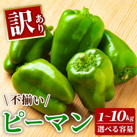 【ふるさと納税】先行予約 訳あり 不揃い 新鮮 ピーマン 選べる 1kg～10kg 野菜 朝採れ 農家直送 ふるさと納税 家庭用 炒め物 肉詰め 回鍋肉 ホイコーロー 栄養豊富 高評価 家計応援 6月〜10月発送 送料無料 岩手県 一関市