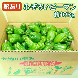 【ふるさと納税】訳あり 不揃い 新鮮 ピーマン 10kg 野菜 朝採れ 農家直送 ふるさと納税 大容量 家庭用 節約 炒め物 肉詰め 回鍋肉 ホイコーロー 栄養豊富 高評価 家計応援 6月〜10月発送 送料無料 岩手県 一関市