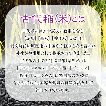 アイテムID:495651の画像2枚目