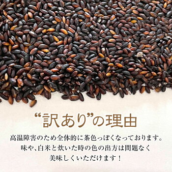 アイテムID:495651の画像4枚目