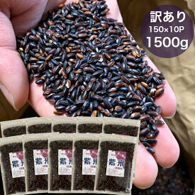 【ふるさと納税】訳あり 古代米 紫米 150g×10袋(1500g)セット 雑穀