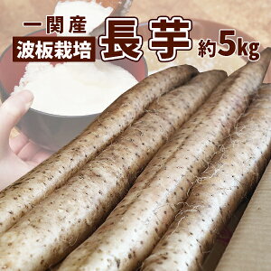 yӂ邳Ɣ[Łz 5kg (4`5{) Hx 茧Y _  Ƃ Ȃ 5L {   Ƃ т̂ N  Yn ӂ邳Ɣ[ 茧 ֎s