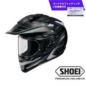 yӂ邳Ɣ[ŁzSHOEI wbg HORNET ADV INVIGORATE TC-5 (BLACK/SILVER) }bgJ[ p[\itBbeBOpt ӂ邳Ɣ[ ړIwbg oCN X|[cCfBO 