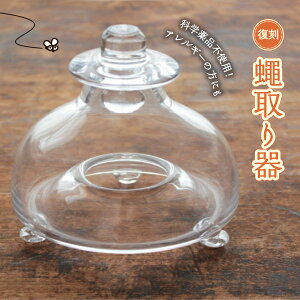 yӂ邳Ɣ[Łz a g nG()KX CeA Ԋ  wisgp GR  RoG ߒ AEghA O
