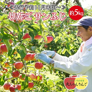 yӂ邳Ɣ[Łzƒp  Tӂ 5kg s\11{` S ь ʕ t[c Y 茧 ֎s