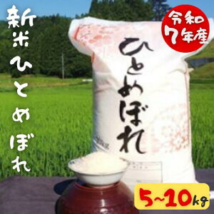 yӂ邳Ɣ[Łzs VĐs\ tߘa7NY V 厩RňĂ ЂƂ߂ڂ 5kgE10kg Iׂe     ͂ R  茧 ֎s