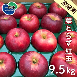yӂ邳Ɣ[Łzs\ tƂ炸 g Iׂ 4.5kg / 9.5kg ƒp  S ь ʕ t[c 茧 ֎s