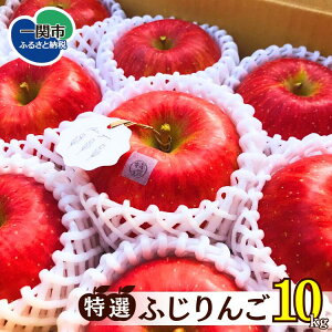 yӂ邳Ɣ[Łzs\ I ӂ 5kg / 10kg ӂ S ь ӂ邳Ɣ[ ʕ t[c Yn  Mtg 蕨  茧 ֎s