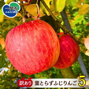 yӂ邳Ɣ[Łz󂠂 tƂ炸 ӂ Tӂ Iׂ 5kg / 10kg ӂ邳Ɣ[ S ь tW ƒp  茧 ֎s