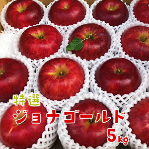 yӂ邳Ɣ[Łzs\ I WiS[h 5kg ӂ邳Ɣ[  S ь ʕ t[c  茧 ֎s