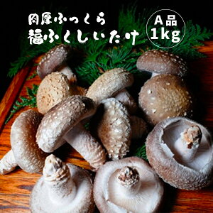 yӂ邳Ɣ[Łzӂ ӂ Ai1kg