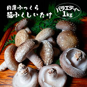 �y�ӂ邳�Ɣ[�Łz�����ӂ����� ���ӂ��������� �o���G�e�B�[ 1kg