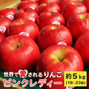 �y�ӂ邳�Ɣ[�Łz��s�\�� ���E�ň�������� �s���N���f�B�[ �I�ڂ� 3kg / 5kg �ӂ邳�Ɣ[�� �����S �ь� �ʕ� �t���[�c �Y�n���� �퉷�� �������� ��茧 ��֎s �ߘa8�N2����{�����甭