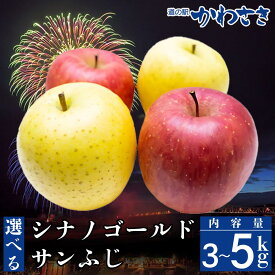 【ふるさと納税】＜先行予約＞えらべる りんごギフト 3kg 〜 5kg セット サンふじ シナノゴールド ≪11月中旬から順次発送≫ りんご 道の駅かわさき