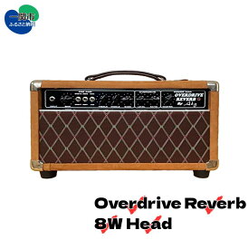 【ふるさと納税】AKG SOUND DESIGN ギターアンプ チューブアンプ オーバードライブ リバーブ 8W ヘッド Overdrive Reverb 8W Head ダンブルクローン 完全ハンドメイド フルオーダー カスタム 一点物 受注生産 ハンドワイヤード 高級アンプ 送料無料 岩手県一関市