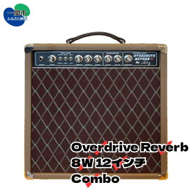 【ふるさと納税】AKG SOUND DESIGN ギターアンプ チューブアンプ オーバードライブ リバーブ 8W 12インチ コンボ Overdrive Reverb 8W 12inch Combo ダンブルクローン ハンドメイド フルオーダー カスタム 一点物 受注生産 ハンドワイヤード 高級アンプ 送料無料 一関市