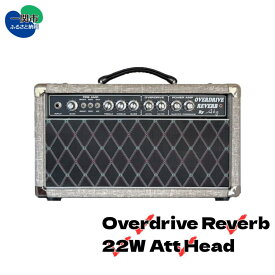【ふるさと納税】AKG SOUND DESIGN ギターアンプ チューブアンプ オーバードライブリバーブ22W アッテネーター搭載 ヘッド Overdrive Reverb 22W Att Head ダンブルクローン ハンドメイド フルオーダー カスタム 受注生産 ハンドワイヤード 高級アンプ 送料無料 岩手県一関市