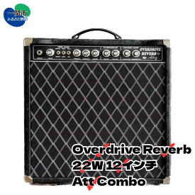 【ふるさと納税】AKG SOUND DESIGN ギターアンプ チューブアンプ オーバードライブ リバーブ 22W 12インチ アッテネーター搭載 コンボ Overdrive Reverb 22W 12inch Att Combo ダンブルクローン ハンドメイド カスタム 受注生産 ハンドワイヤード 送料無料 岩手県一関市