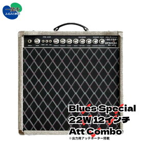 【ふるさと納税】AKG SOUND DESIGN ギターアンプ チューブアンプ ブルース スペシャル 22W 12インチ アッテネーター搭載 コンボ Blues Special 22W 12inch Att Combo ダンブルクローン ハンドメイド カスタム 受注生産 ハンドワイヤード 送料無料 岩手県一関市