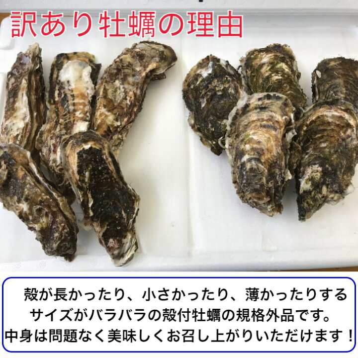 2400円 セール ふるさと納税 広田湾漁協からお届け たっぷり海藻セット 岩手県陸前高田市