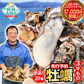 【ふるさと納税】先行予約 訳あり 牡蠣 20個 殻付き 生食 (ナイフ・軍手・剥き方説明書付き) 発送時期が選べる [ ワケあり 規格外 不揃い かき カキ 生牡蠣 真牡蠣 新鮮 海鮮 鍋 牡蠣鍋 カキフライ バーベキュー BBQ 人気 三陸 産地直送 岩手 陸前高田 マルテン水産 ]